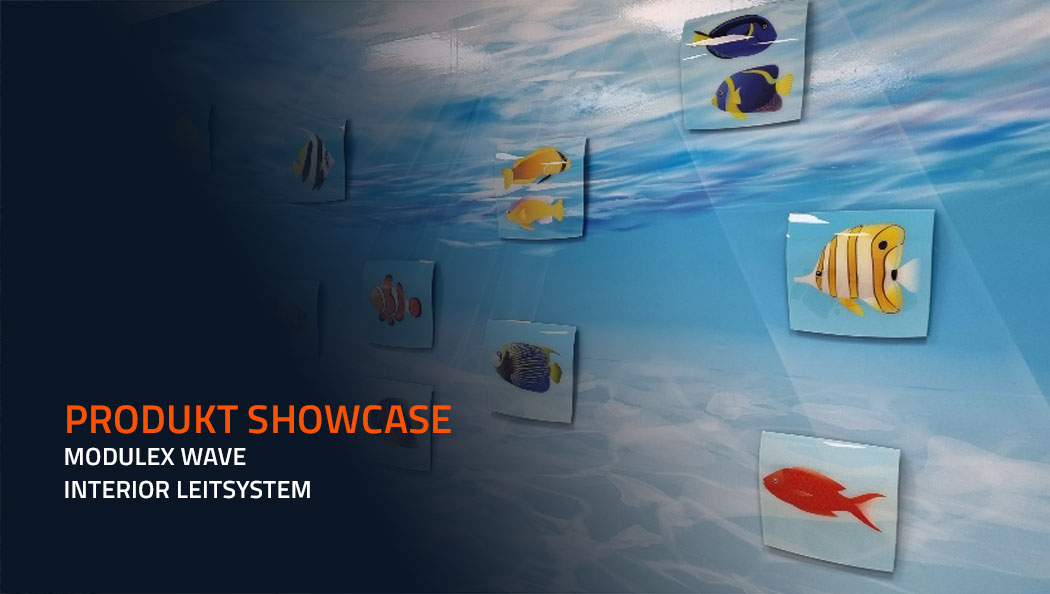 Produkt Showcase: Modulex Wave