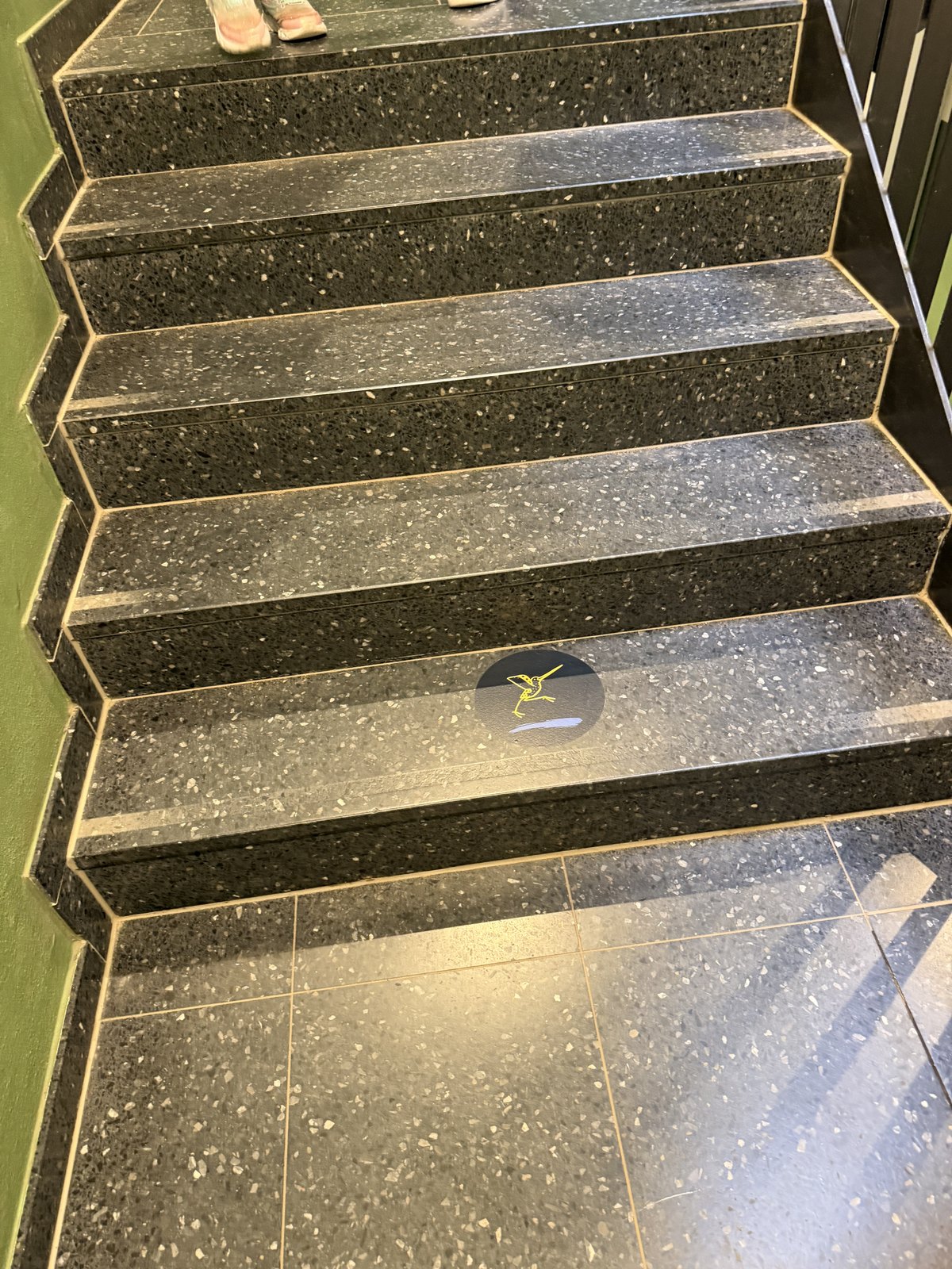 Dunkle Terrazzo-Treppe mit grün gestrichener Wand, auf einer Stufe eine runde Bodenfolie mit gelber Bekassine